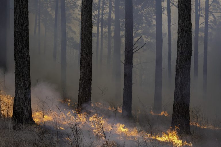 2025-03-07-tfa1435-Edit